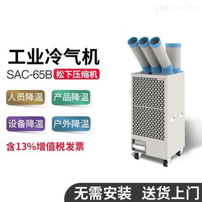 SAC-65 冷气设备全面解析 性能、应用与维护指南